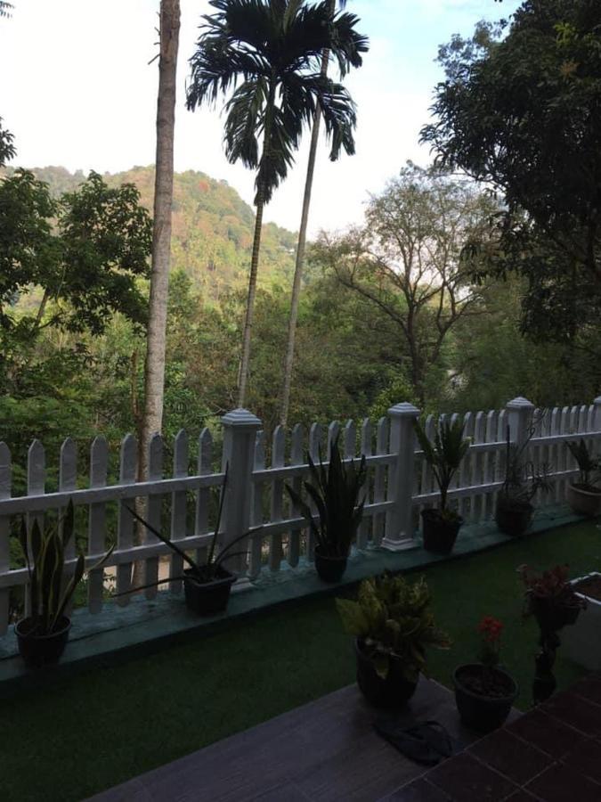 25 Homestay