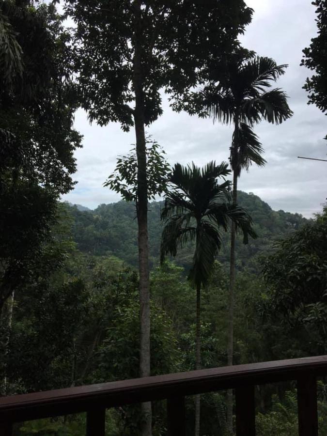 25 Homestay