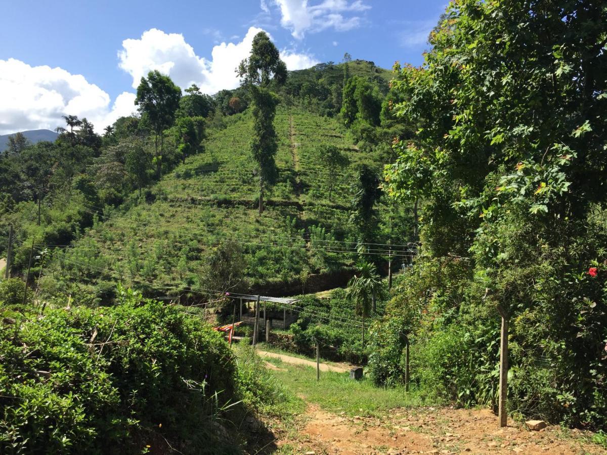Homestay Rohana Estate & *
