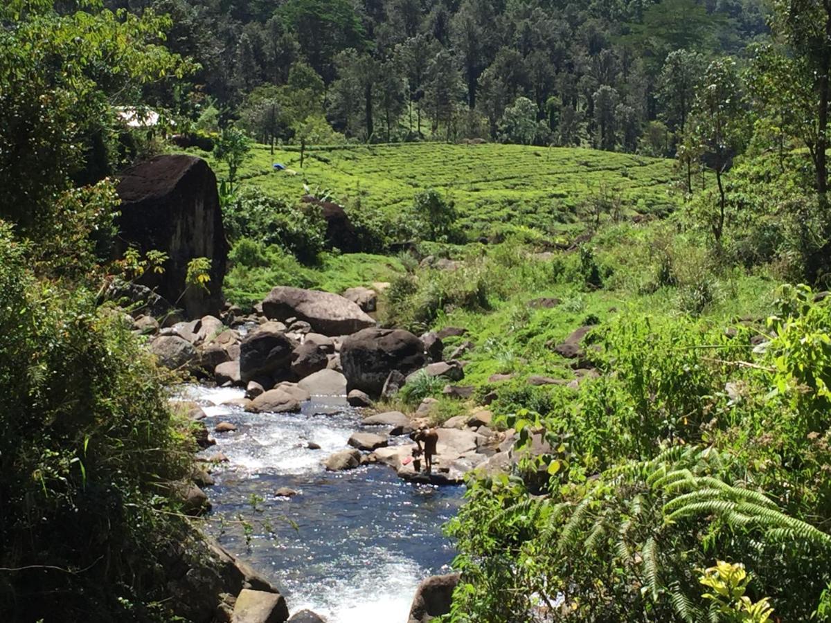 Rohana Estate & * Kandy