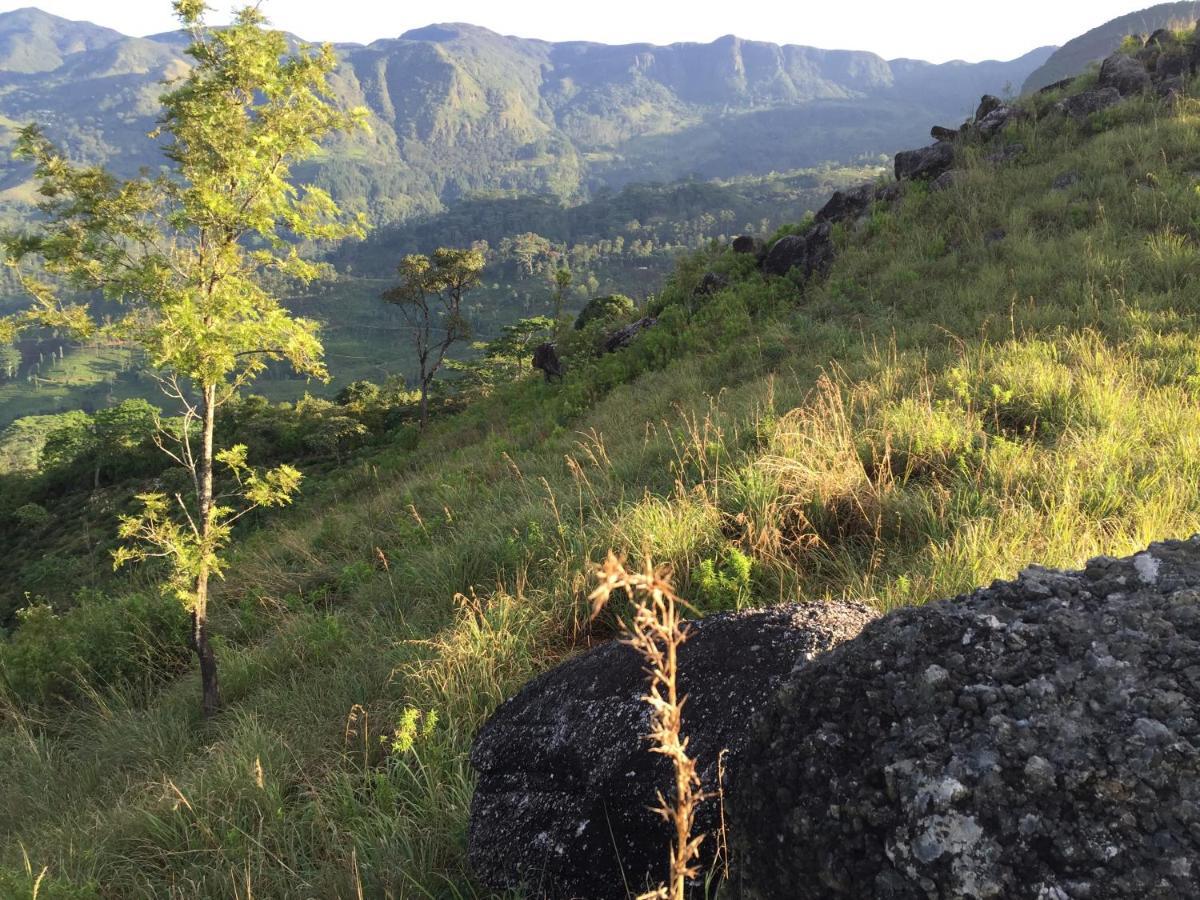 Rohana Estate & * Kandy