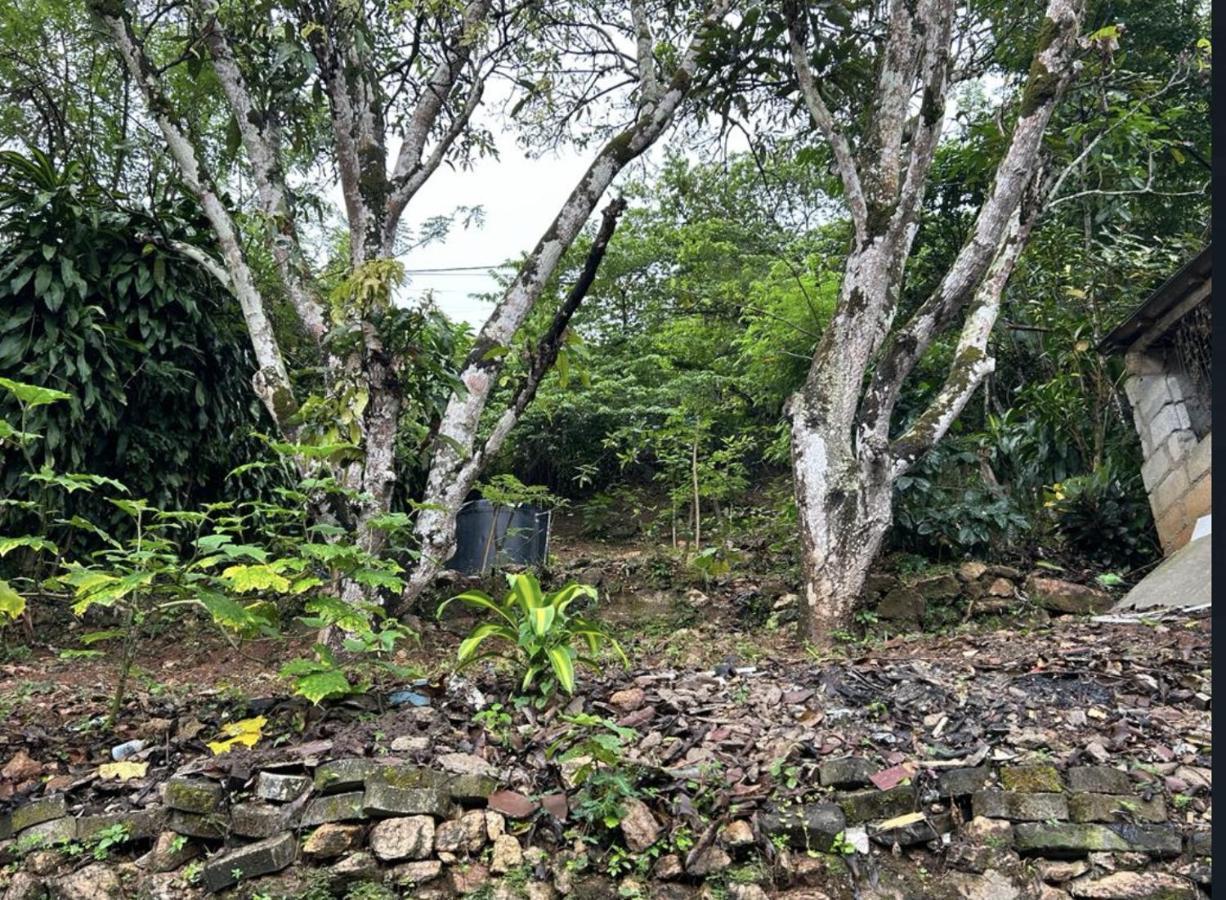 Kandy Holiday Home