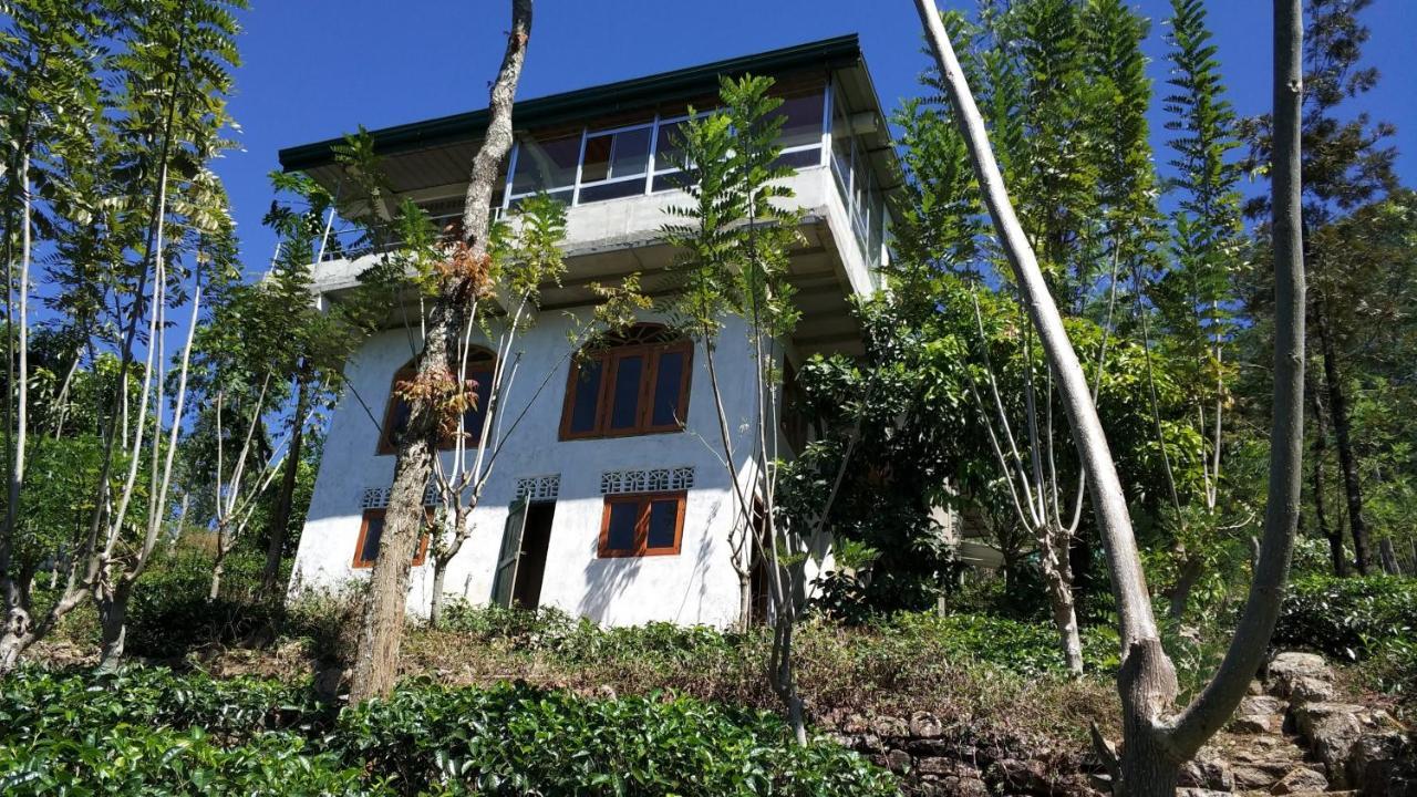 Rohana Estate & Homestay
