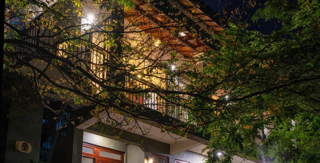 Guest house Tree Tops *
