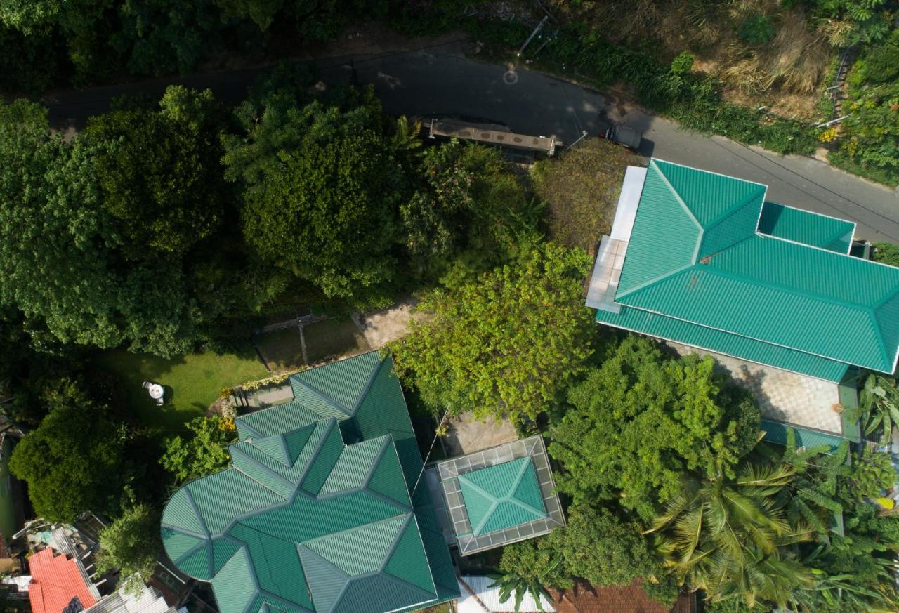 Guest house Tree Tops