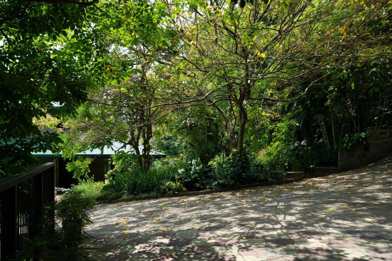 Guest house Tree Tops