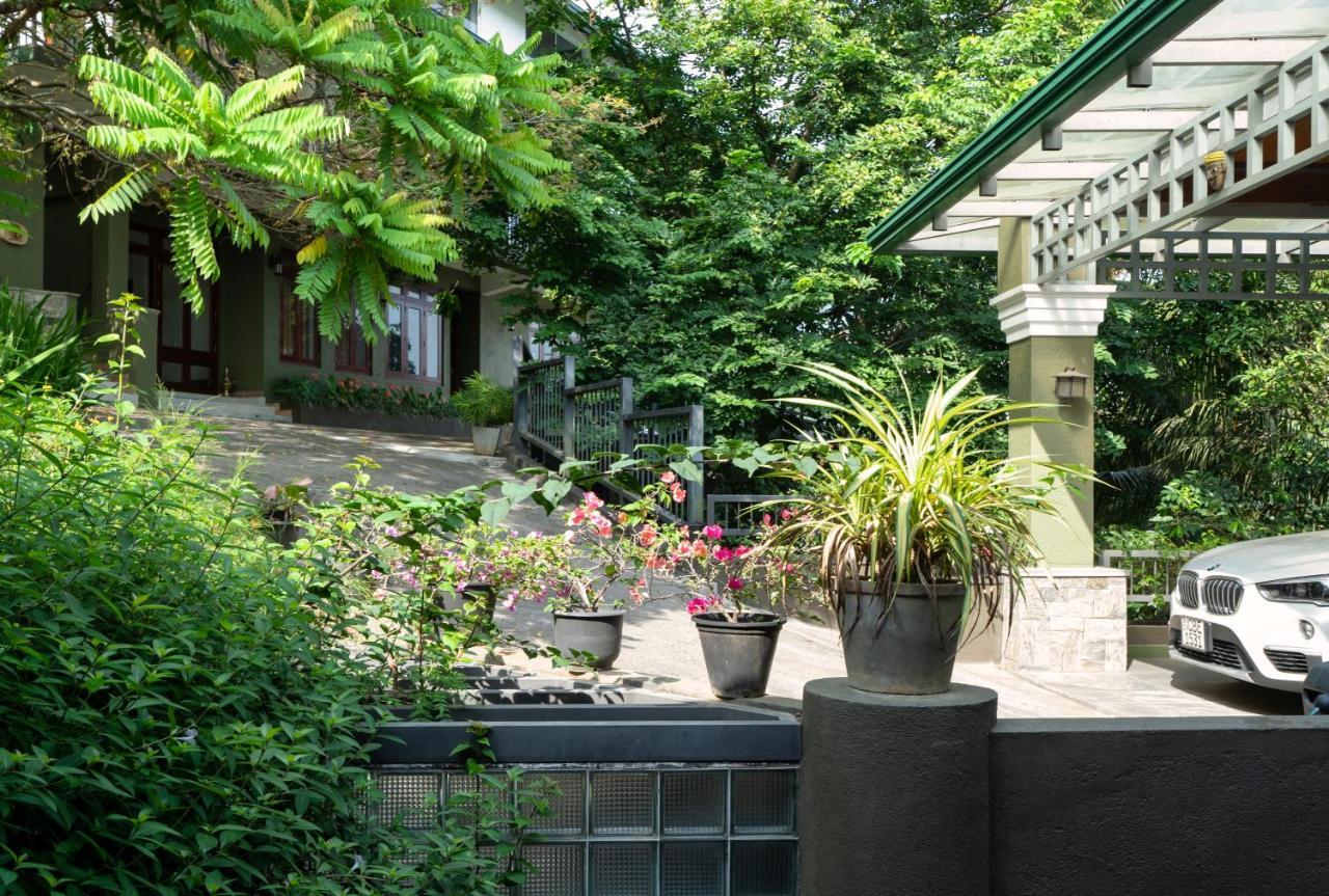 Guest house Tree Tops