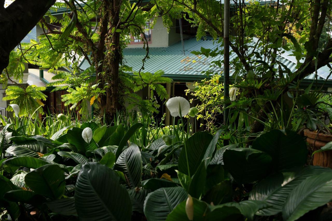 Guest house Tree Tops