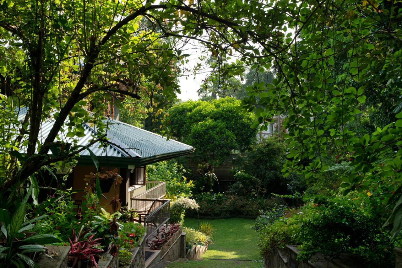 Guest house Tree Tops