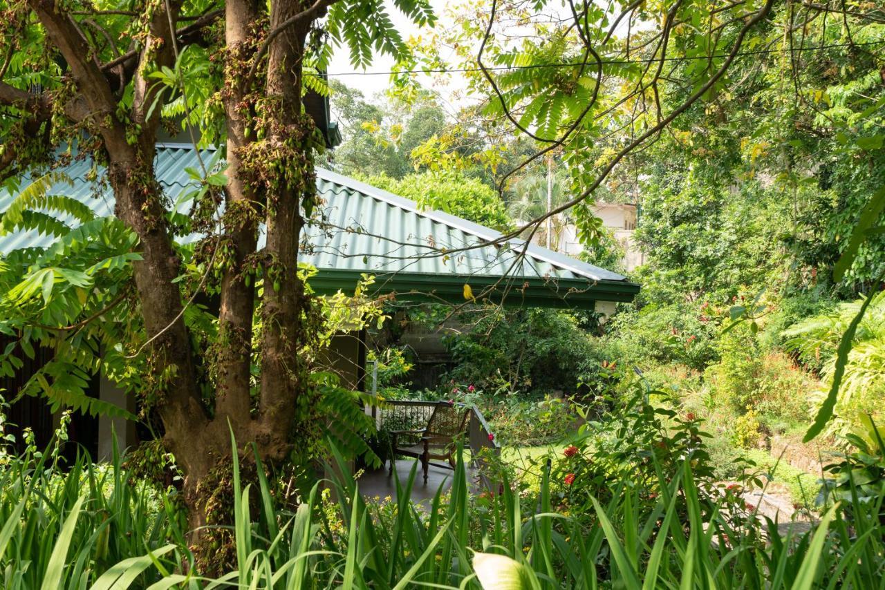 Guest house Tree Tops Kandy