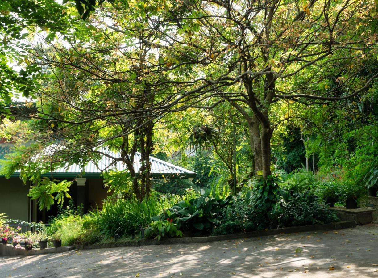 Tree Tops Guest house *