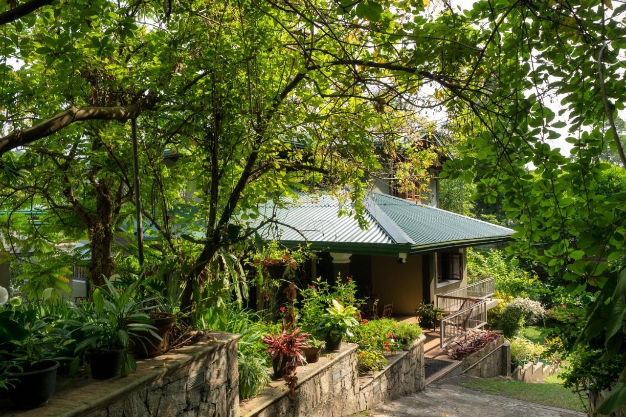 Tree Tops Guest house