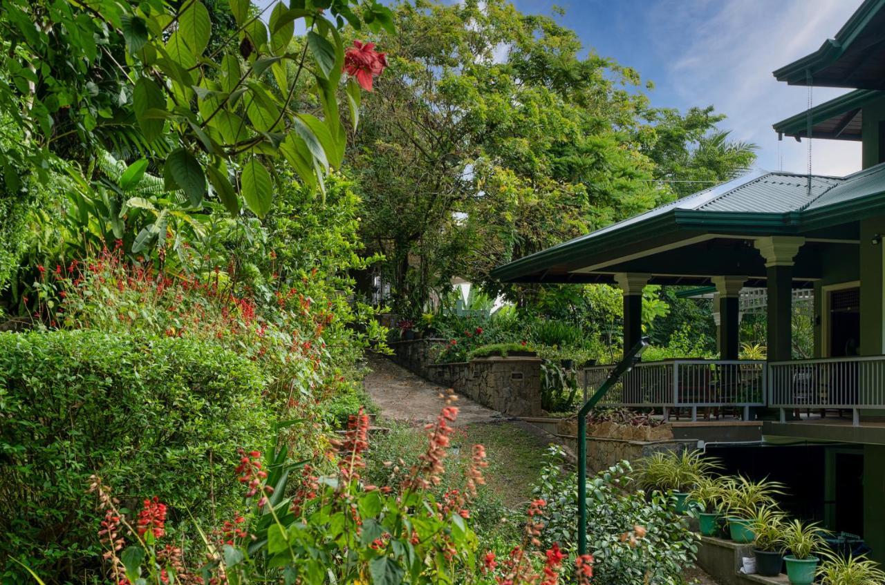 Tree Tops Guest house