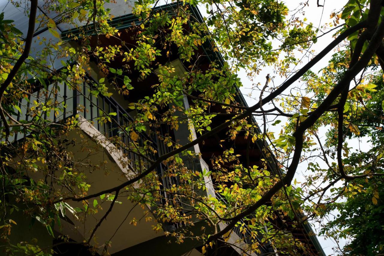 Tree Tops Guest house Kandy