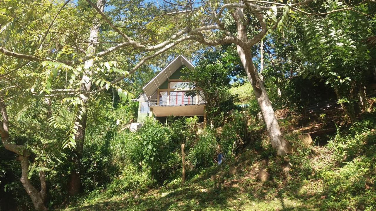 The Wild- By The River * Kandy