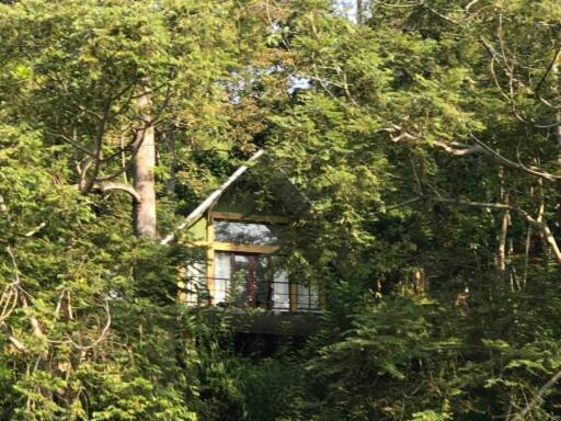 The Wild- By The River Hotel *