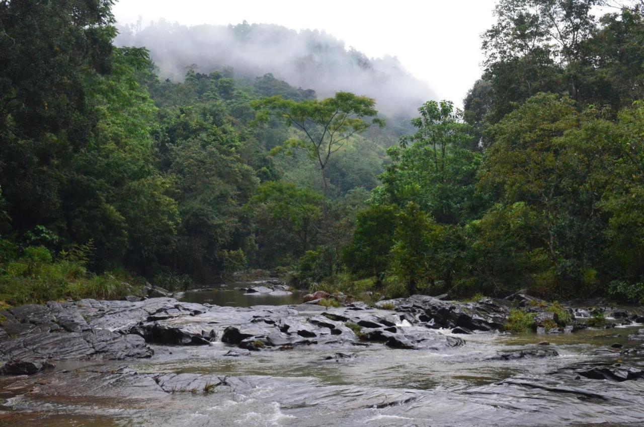 The Wild- By The River Hotel *
