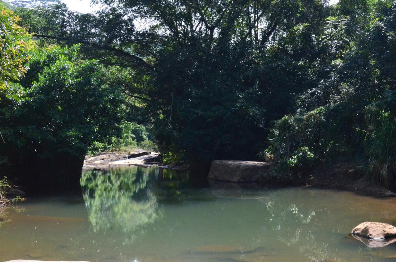 The Wild- By The River Hotel *