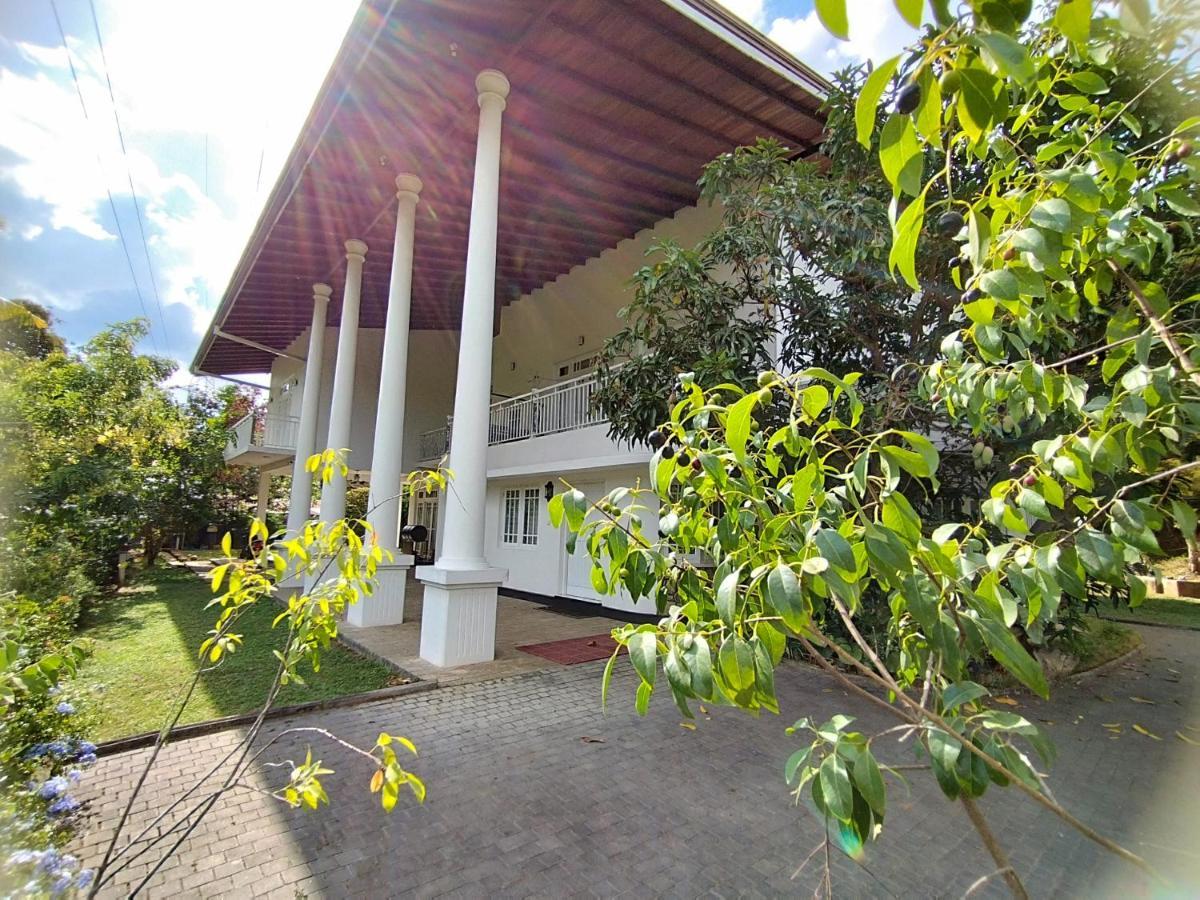 Boztreve * Kandy