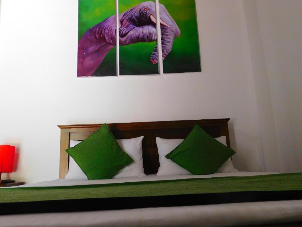 Mount Mirror Residency Guest house *