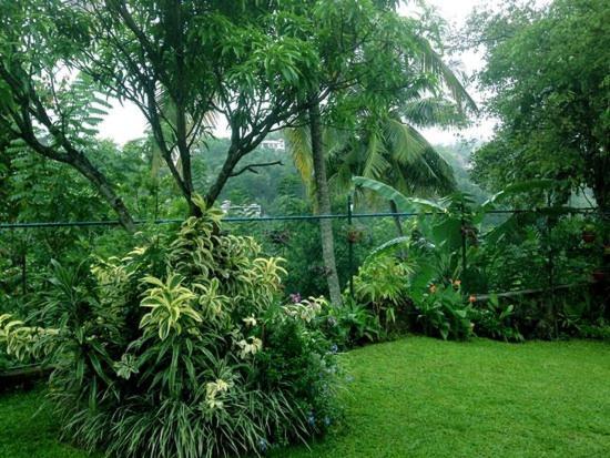 Kandy Inn By Moon Hills *