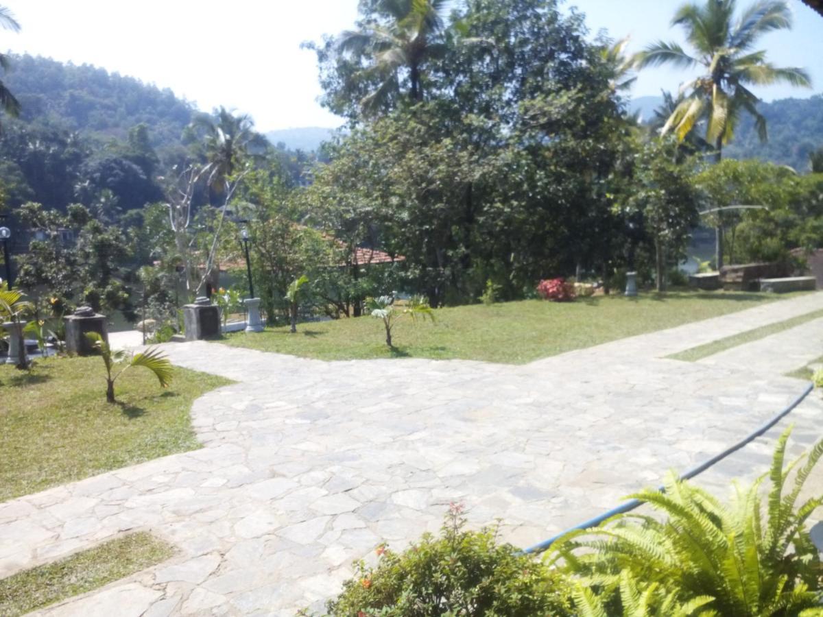 Serendip Stone And