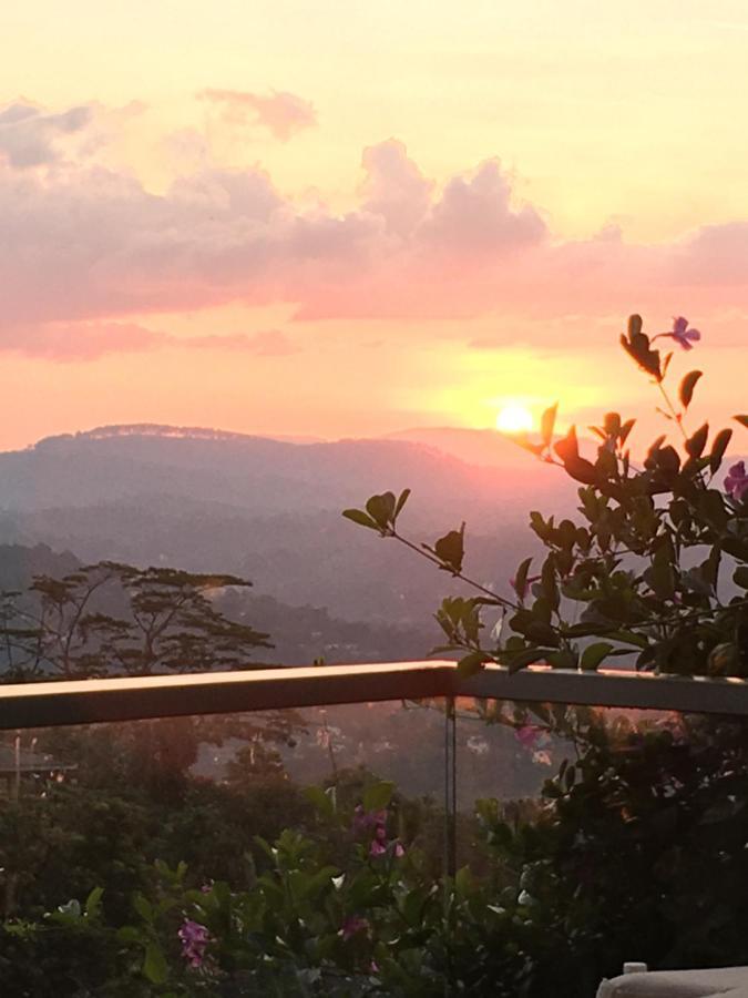 By Skyloft Hostel