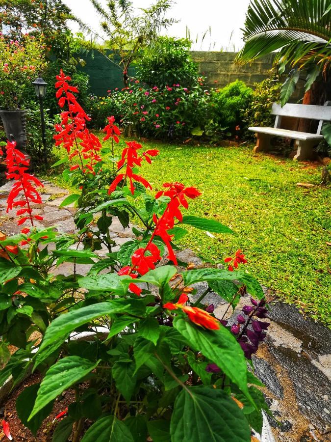 Barefoot Hostel