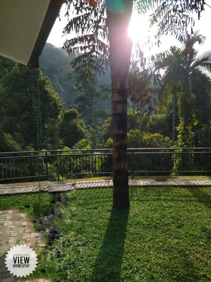 Hanthana View