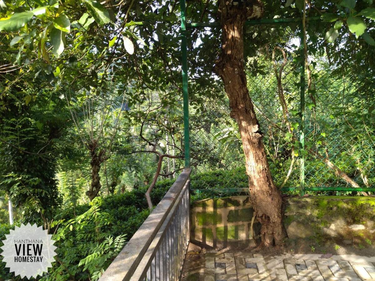 Hanthana View