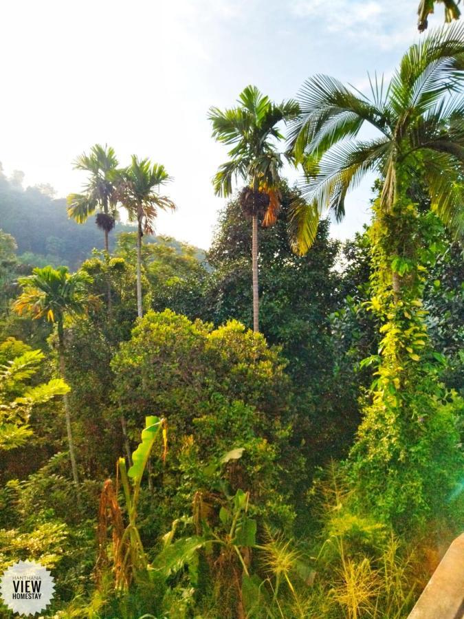 Hanthana View Lodge Kandy