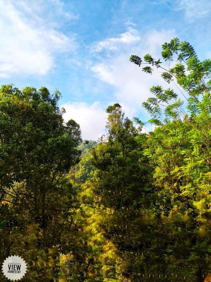 Hanthana View