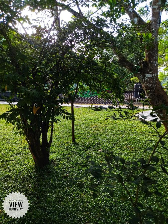 Lodge Hanthana View Kandy