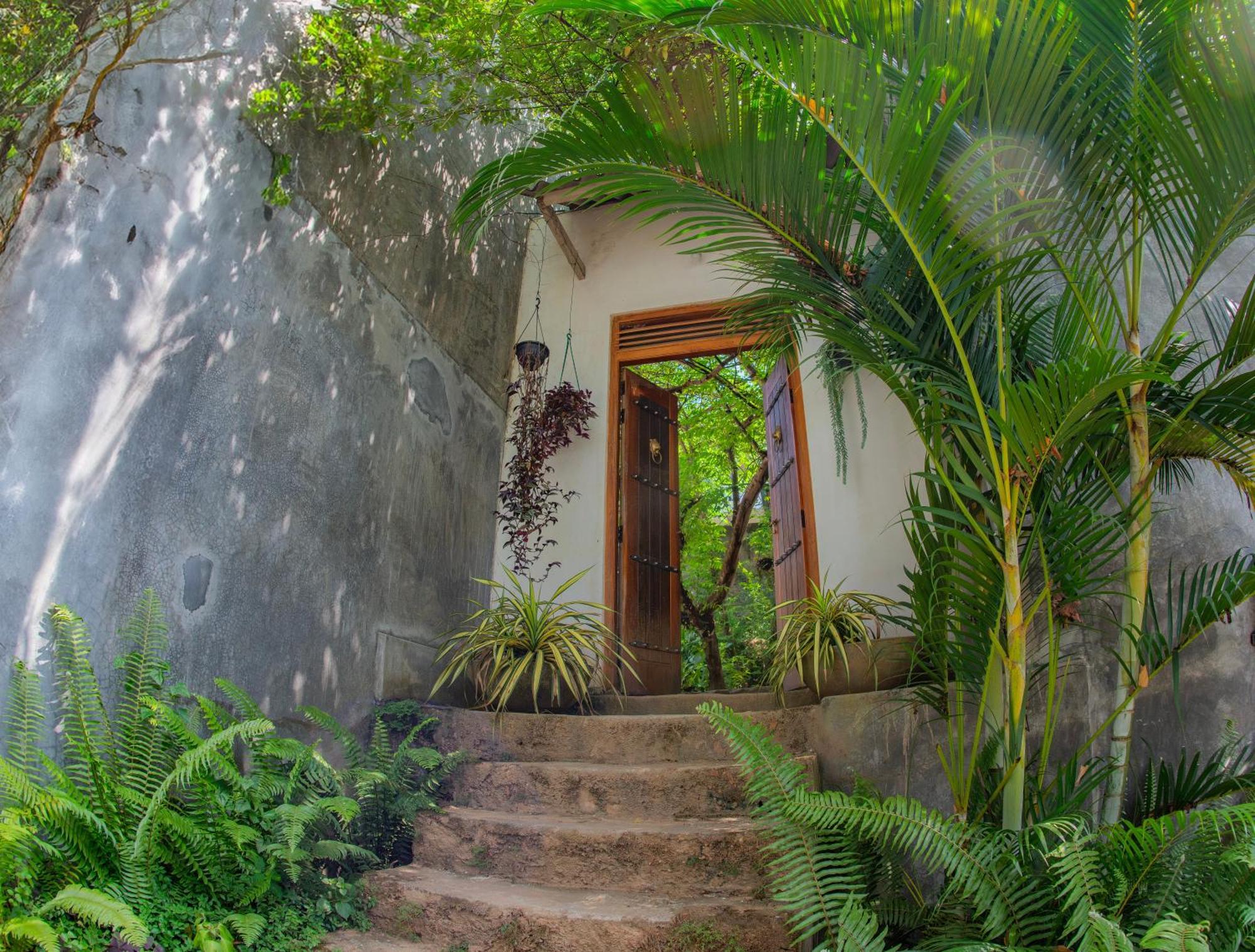 Inside Out Nature Kandy