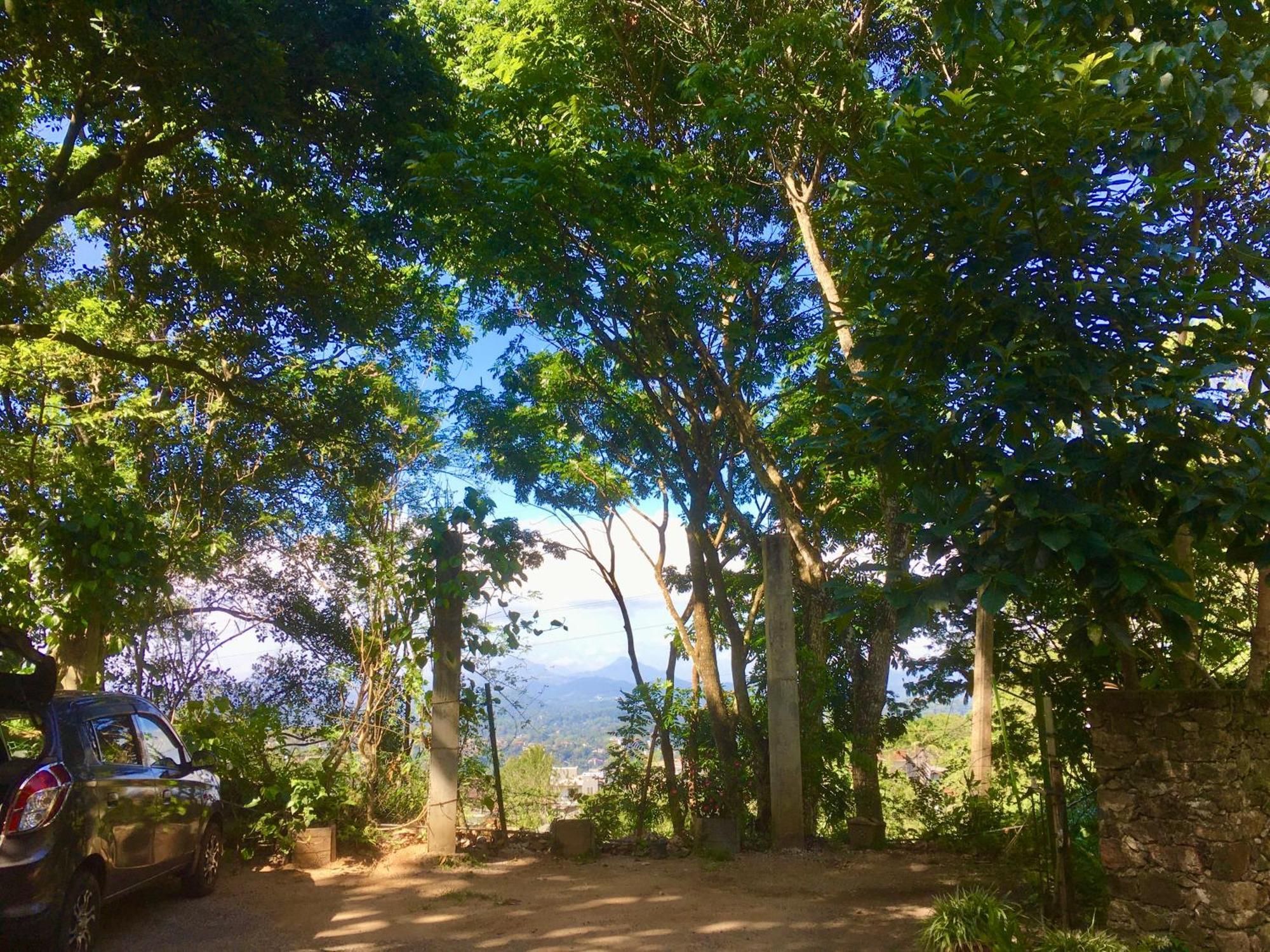 Homestay Bird Wood Kandy