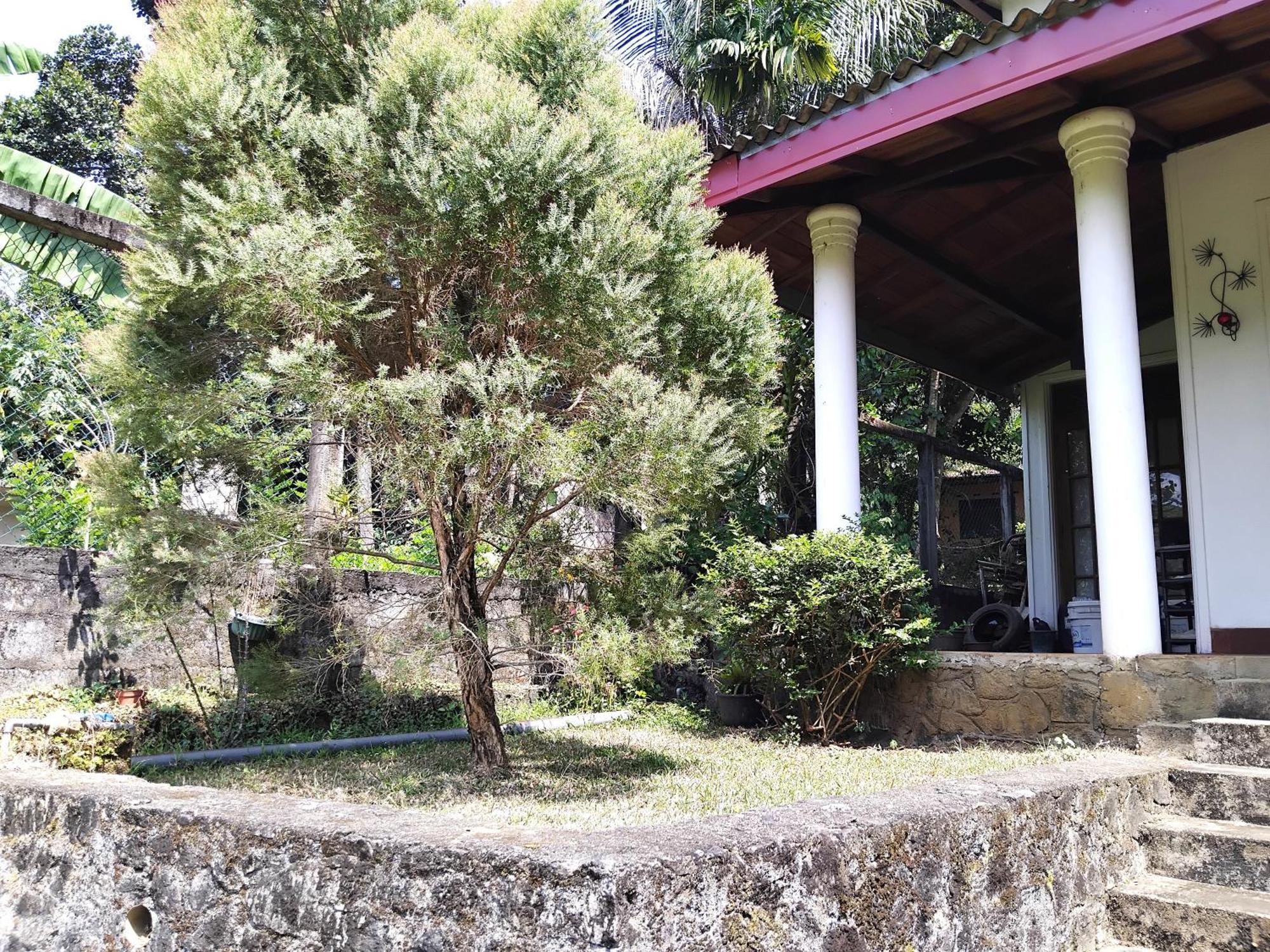Wellington Kandy