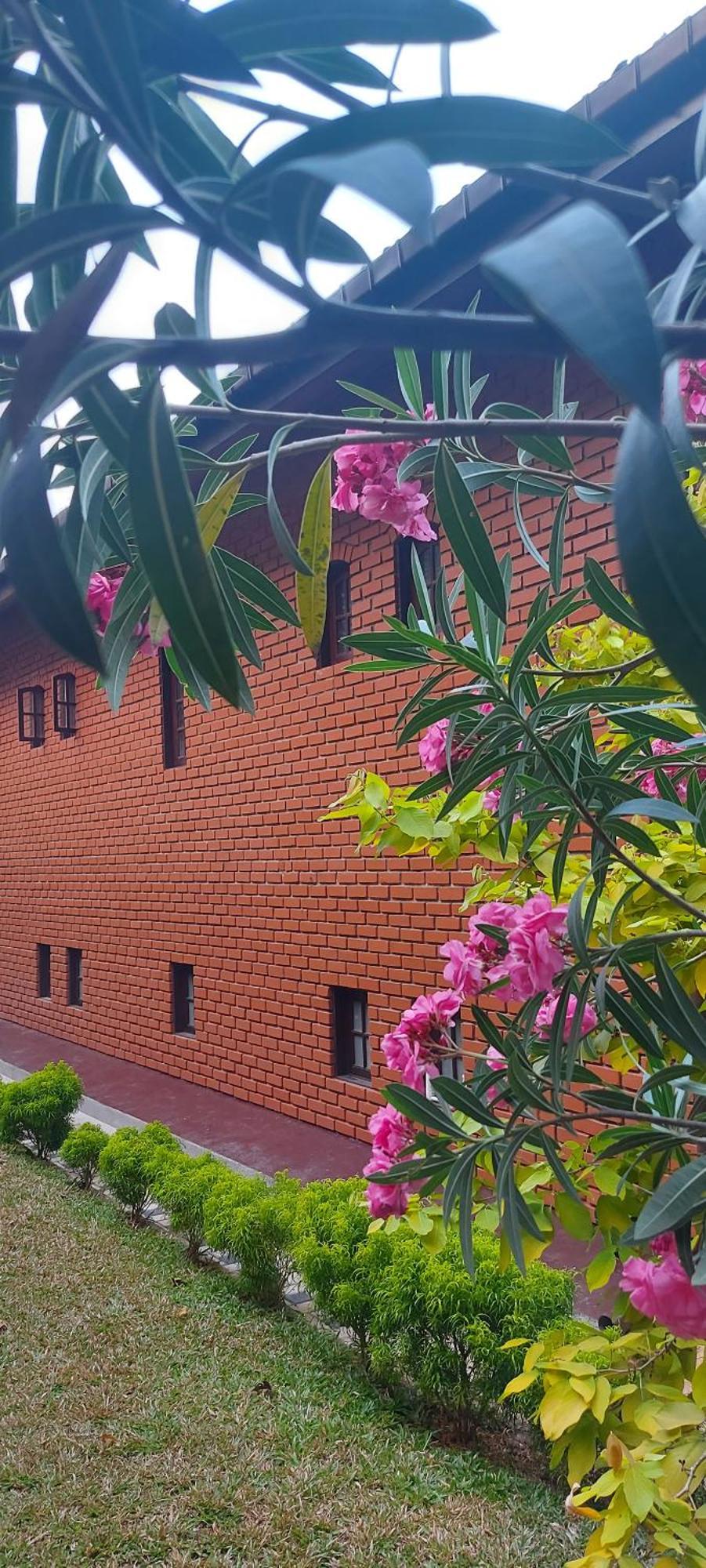 Wilson Bungalow