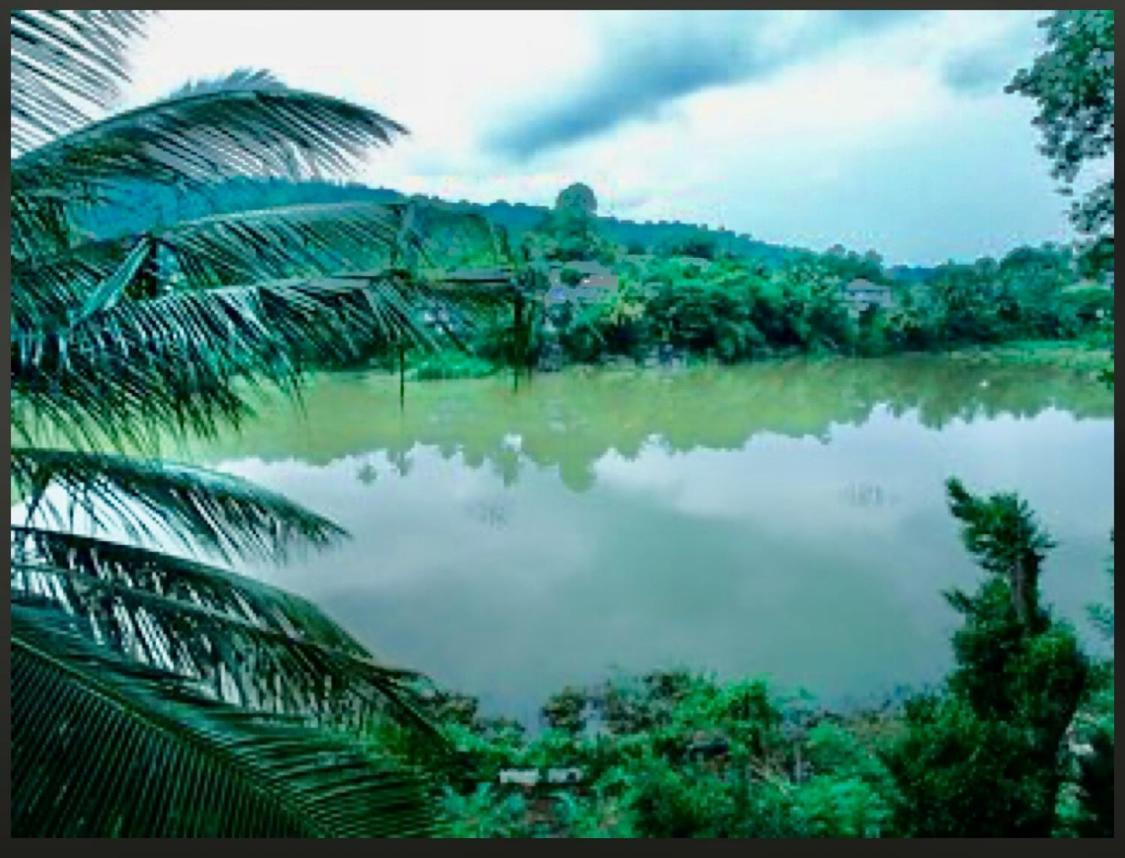 Amanzi Guest house *