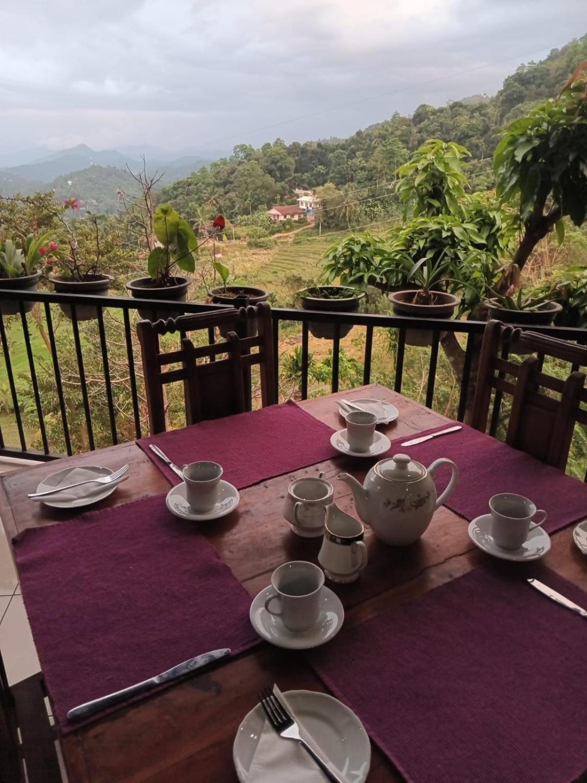 Ivy Mountain View *