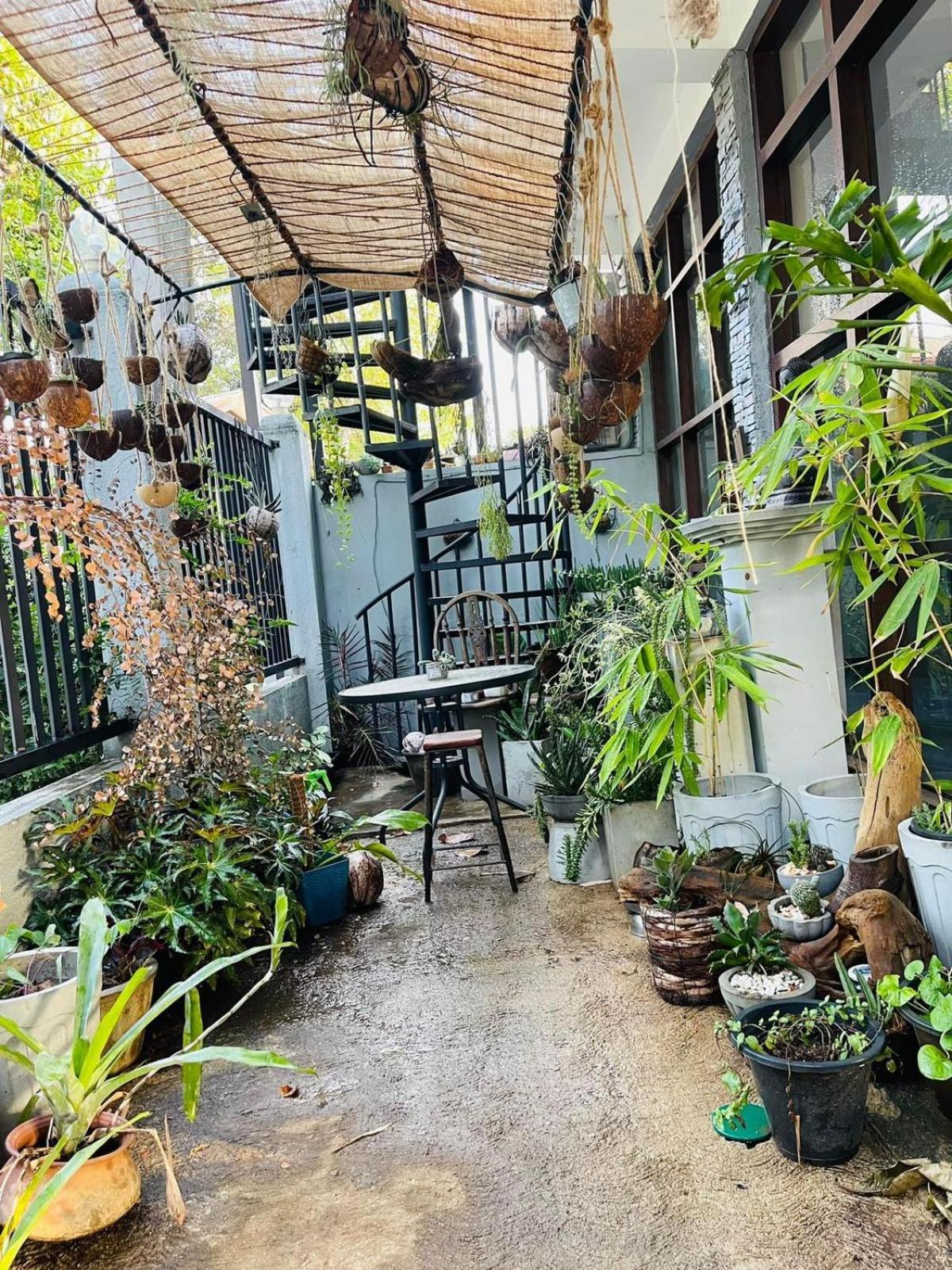 Amanzi Guest house *