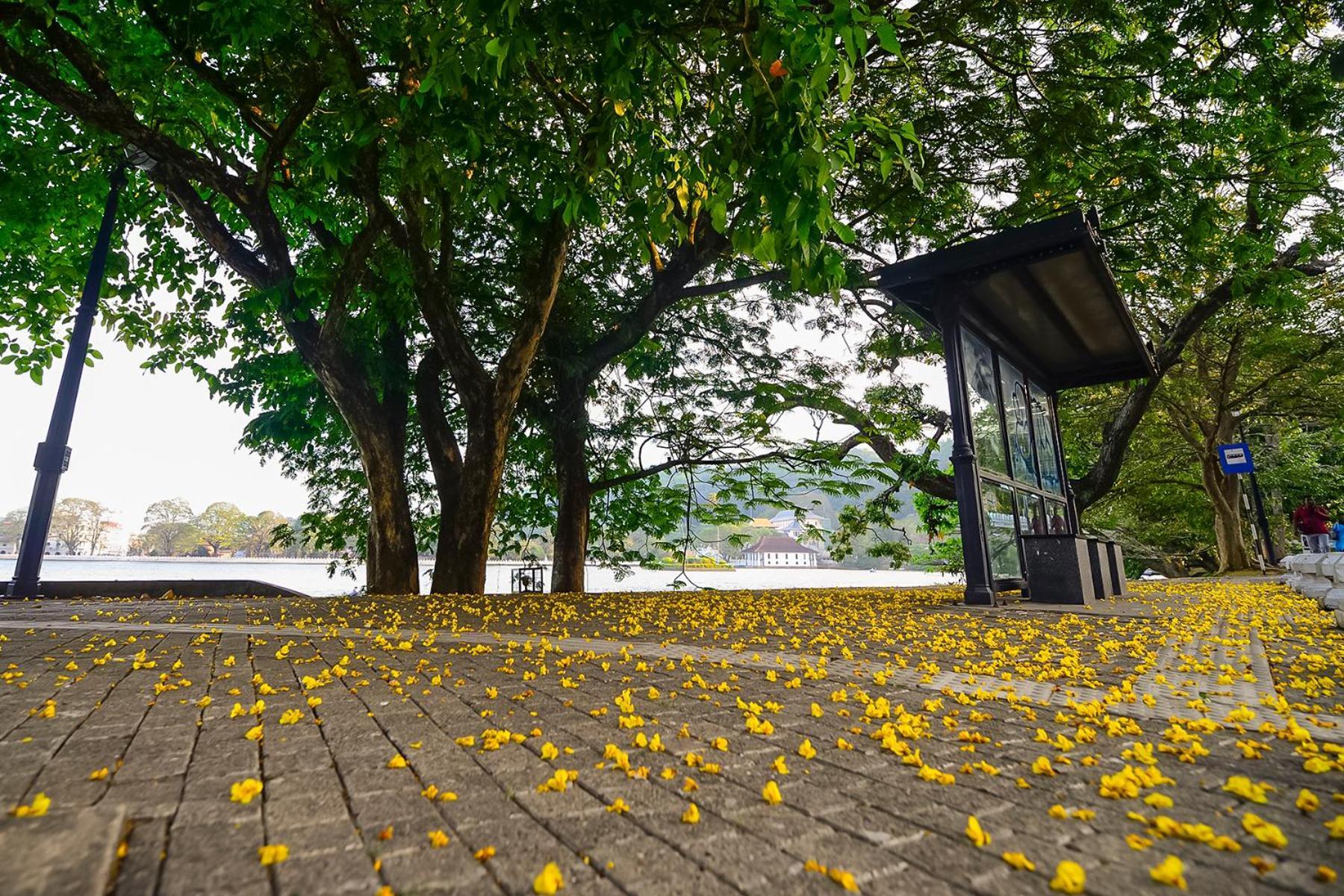 Devon Rest Hotel Kandy