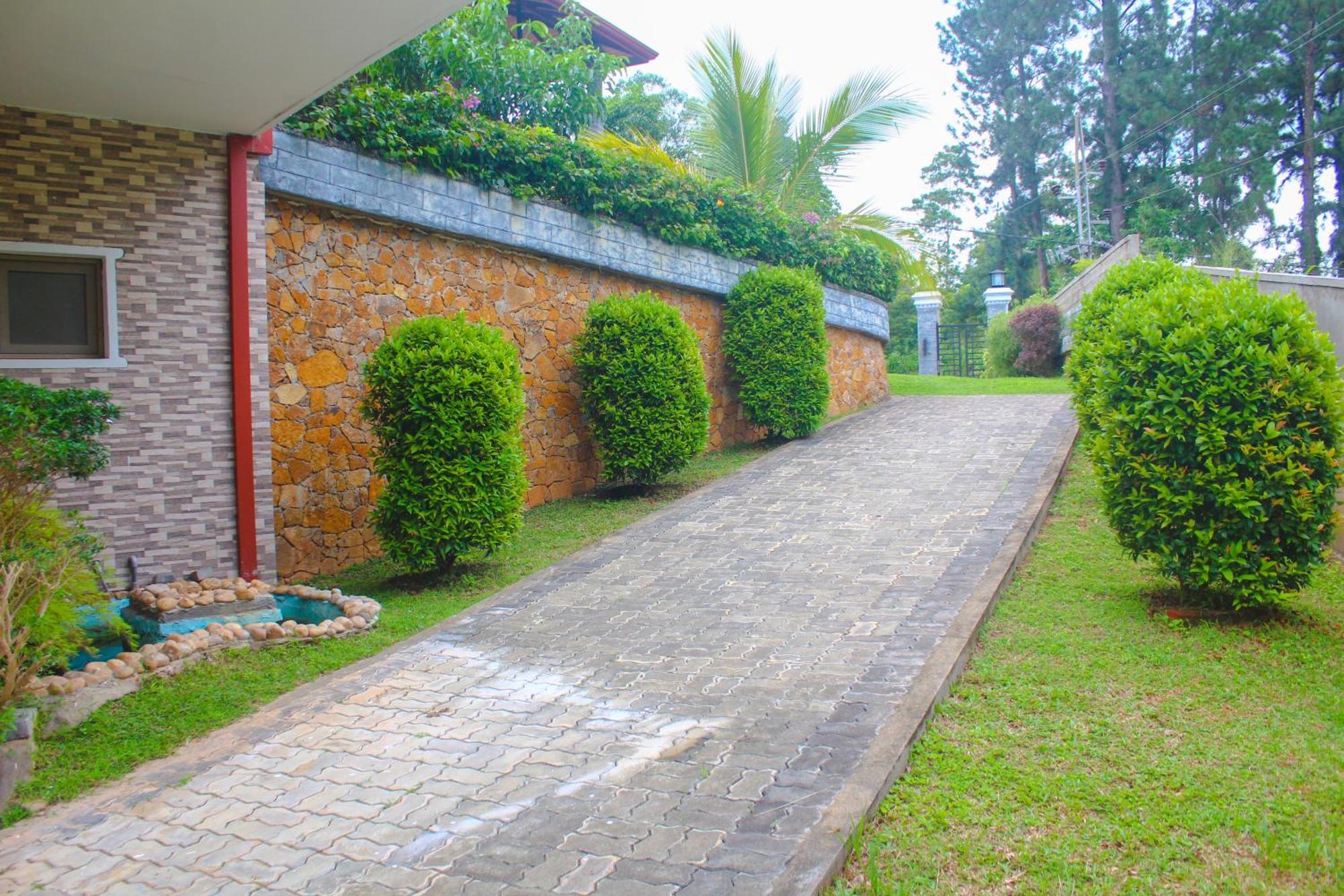 Camellia Rise Bed & Breakfast Kandy