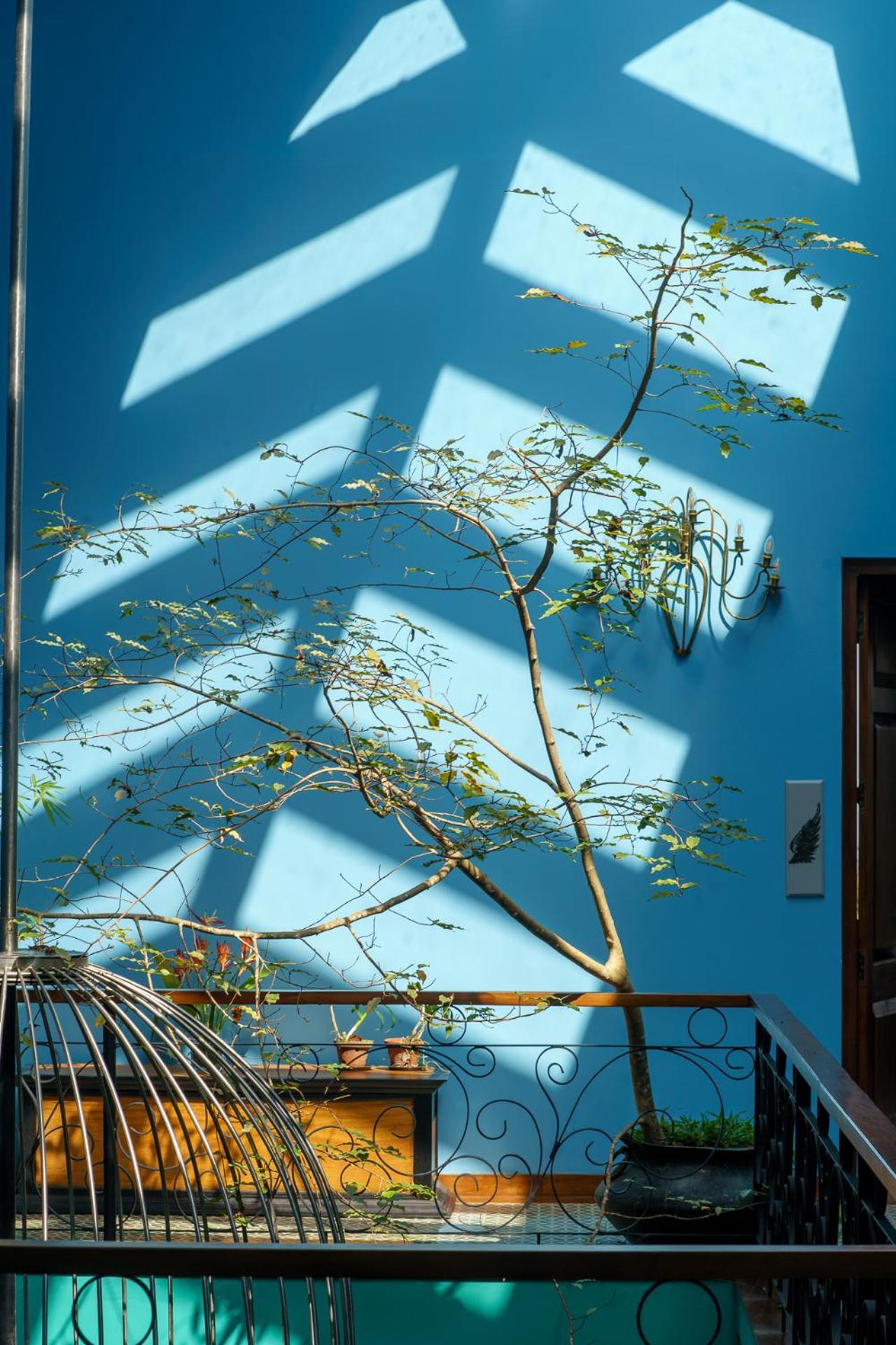 Hotel Dendrobium House