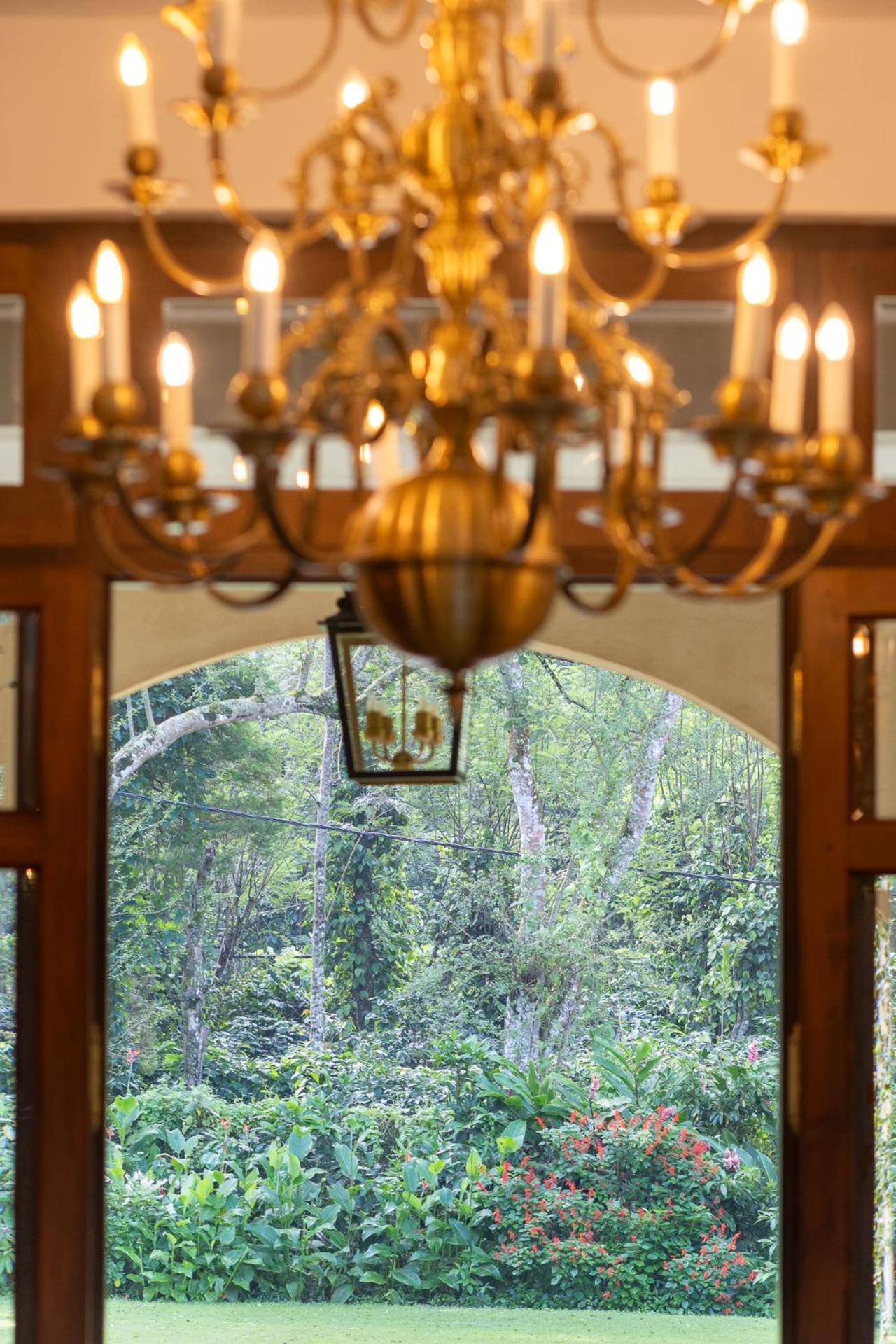 Dendrobium House Hotel