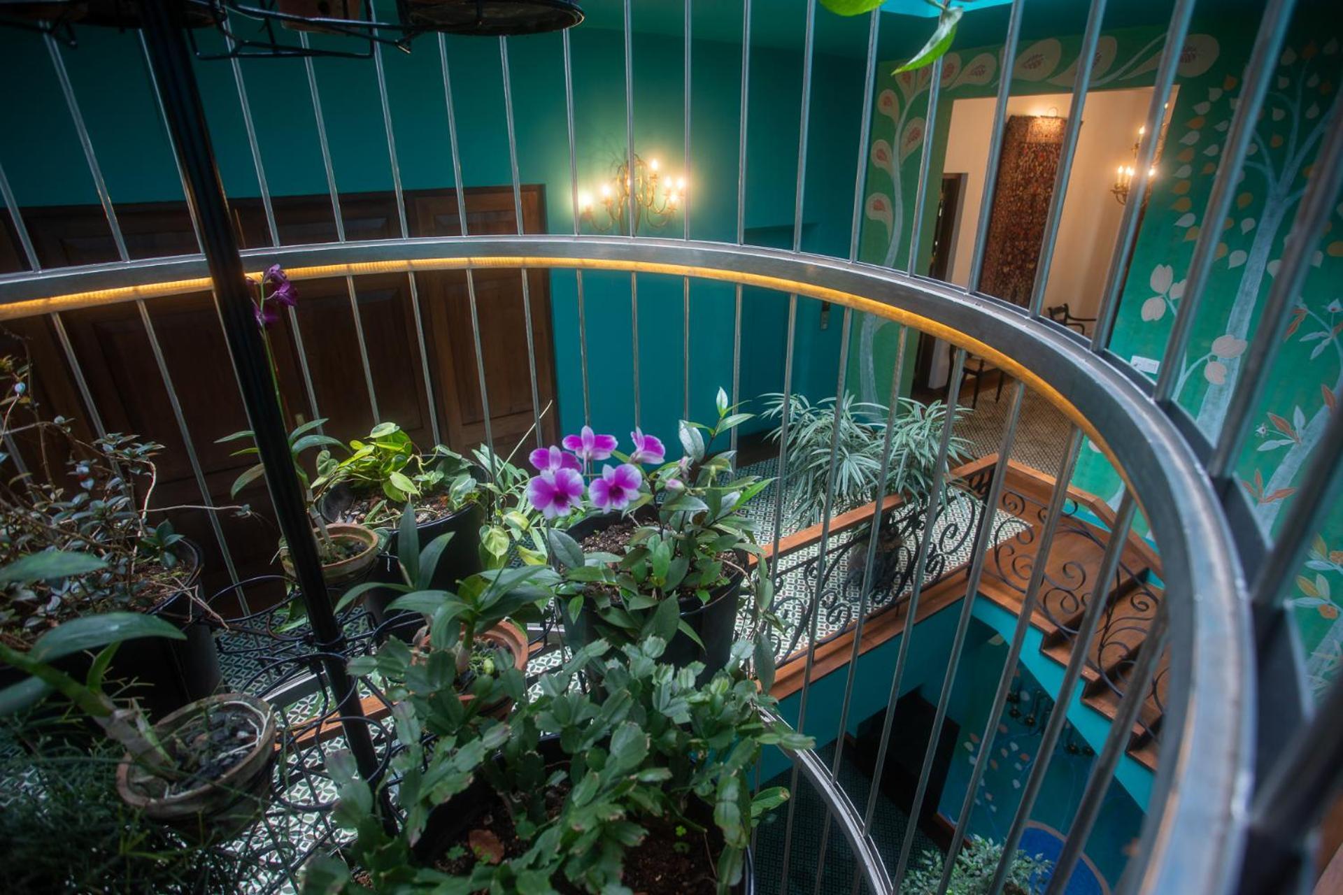 Dendrobium House Hotel
