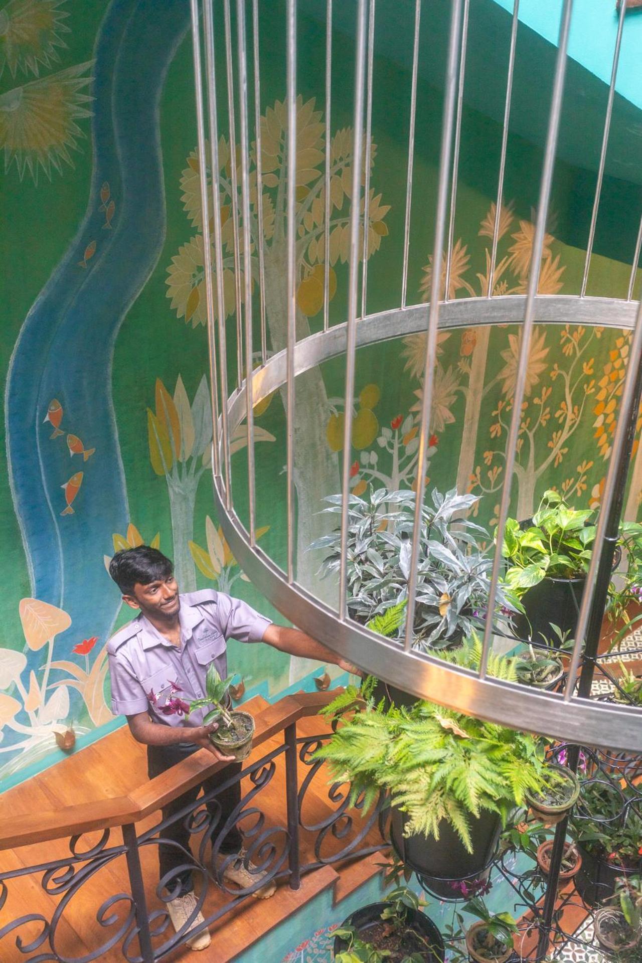 Dendrobium House Hotel