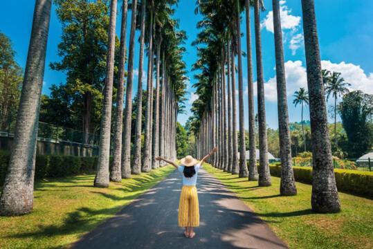 Serene Homestay Kandy