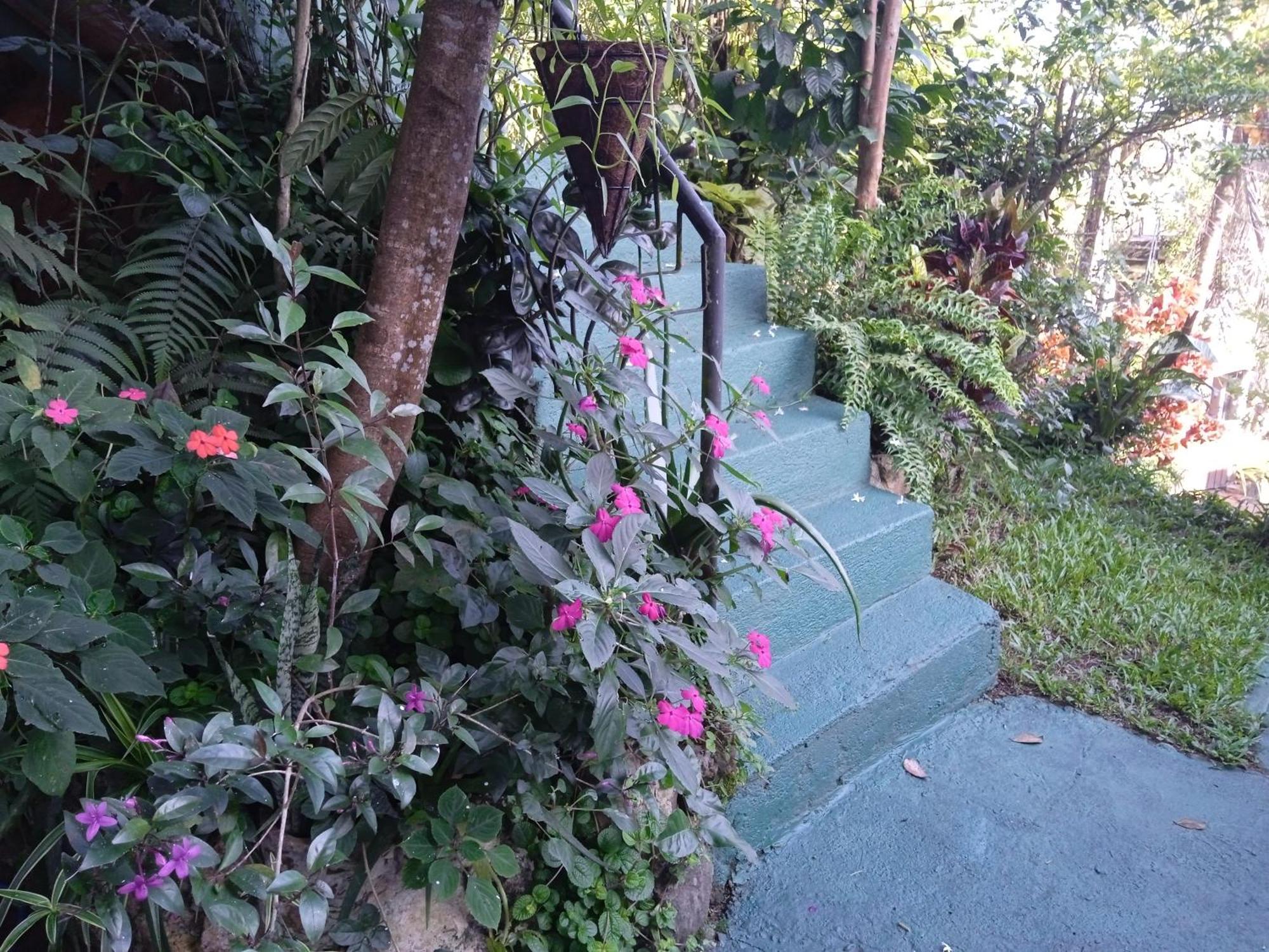 Alex Homestay *