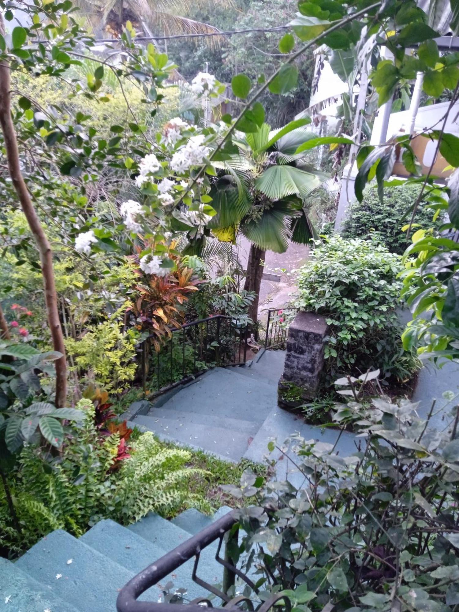 Alex Homestay