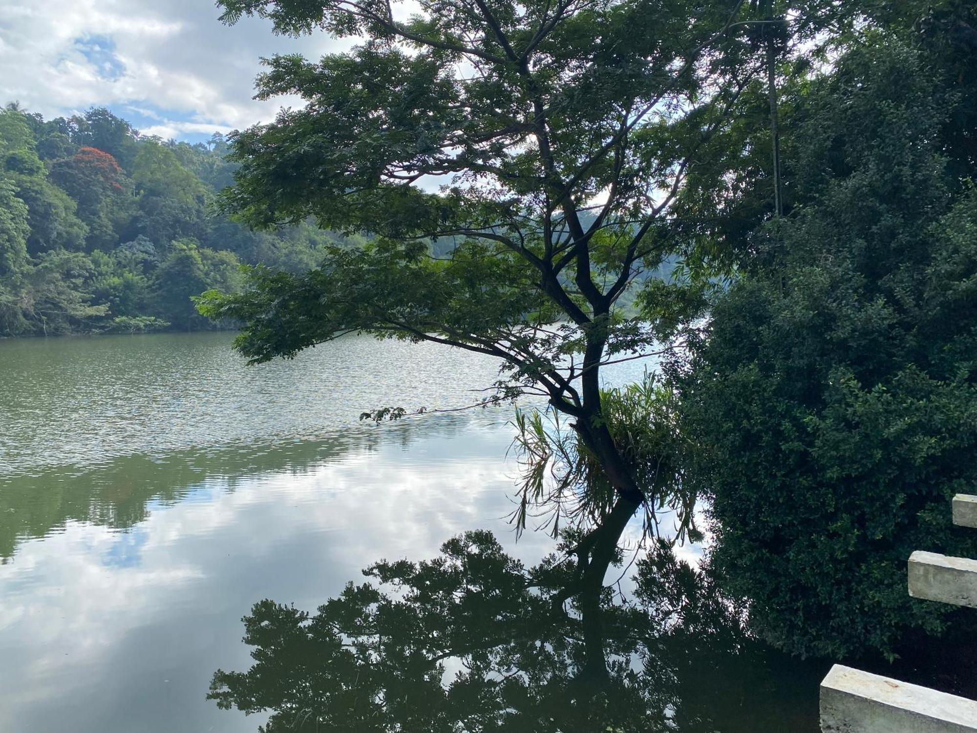 Rivers Edge Nature